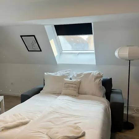 Apartamento Cozy Design Top-floor In Karlsruhe-mühlburg - Apolonialiving - Apt2